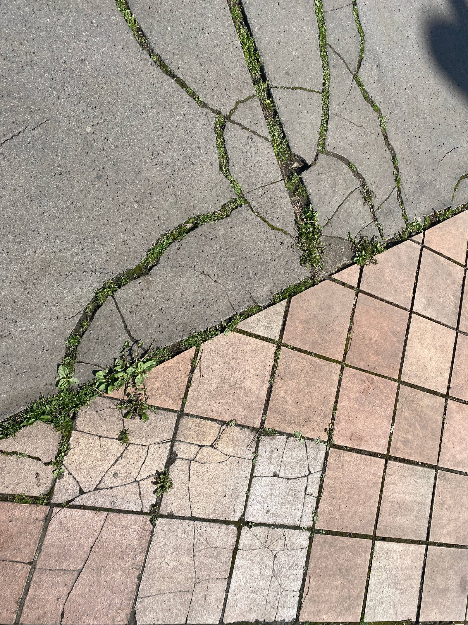 Some cracks in asphalt.